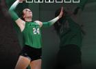 LadyCats Players Named to All-District Teams