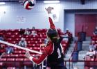Lady Cub #14 Angel Turner has been making her presence felt at the net, delivering lethal blocking and sending kills across the net. Photo by Will Sadler