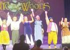 Into the Woods Review