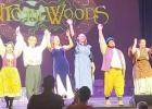 Into the Woods Review