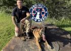 Olney’s former K9 Officer Bond has been officially adopted by an active duty U.S. Air Force handler following the death last year of his handler, Cpl. Miranda Wright. Photo provided by Project K9 Hero