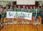 Ladycats claim Bi-District Championship