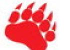 Cub Football Season Opens with Skills Camp