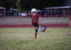 Peewee Cub #32 Lucas Geter performs kicking duty during the Cub-Lion matchup. Photo by Will Sadler