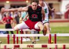 Two Cubs qualify for regional track meet