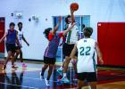 Cubs Host Spring Basketball League