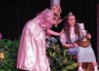 Wizard of Oz Spotted in Newcastle