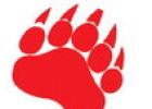 OHS Cubs Win District Honors in Basketball