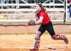 Cub Baseball and Lady Cub Softball District Honors