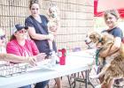 OCLAC Pet Show