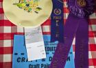 True Creel, Newcastle Salt Fork 4-H, Grand Champion Creative Arts Craft Painting Photo by Will Sadler