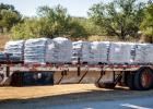 With over ten pallets of pea-size gravel to load into spawning beds, the day holds the promise of sore muscles but will also reward the OHS Ag class with special memories and friendships strengthened by working together.