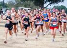 The Newcastle Ladycats ran up front and helped set the pace for the pack during the Olney Invitational. Allison Melton stayed with the lead pack and raced to a second-place finish. Photo by Will Sadler
