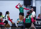 Ladycat #11 Emma Hawkins goes up for a kill shot during their match up with the Lady Pirates. Photo by Will Sadler
