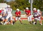 Red vs. White, Panther scrimmages ready Cubs for the season