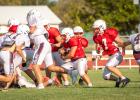 Red vs. White, Panther scrimmages ready Cubs for the season