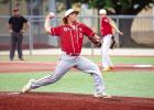 Cub, Lady Cub All-District Honors