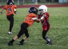Peewee Cub #23 Cash Tucker blocks a Lion Defender. Photo by Will Sadler