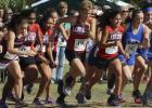 The Olney High School Cross Country Team gets off to a solid start during the regional meet in Grand Prairie.