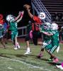 Olney Cub Denis Jeske intercepts a pass against Iowa Park during a Top of Texas Small School Midgets game for fifth- and sixth-graders Oct. 10 at Cub Stadium. The Cubs defeated Iowa Park 42-12. Both Olney youth football teams wrap up their regular seasons